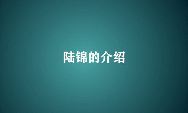 陆锦的介绍