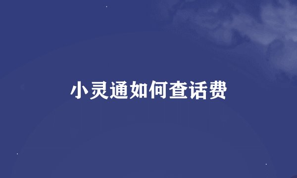 小灵通如何查话费