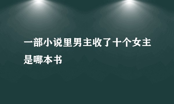 一部小说里男主收了十个女主是哪本书