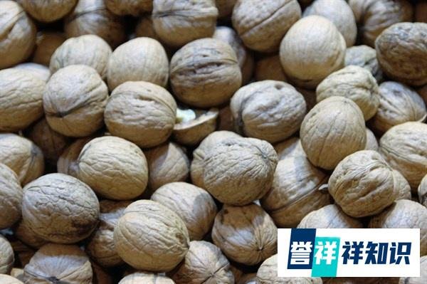 寻渔记丨核桃价格创新低怎么回事 核桃价格为何创新低原因是什么现在售价多少
