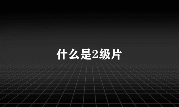 什么是2级片