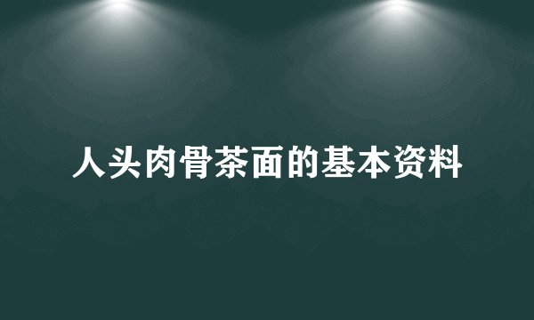 人头肉骨茶面的基本资料
