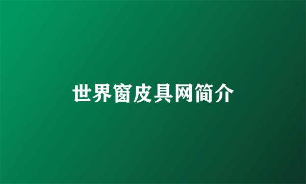 世界窗皮具网简介