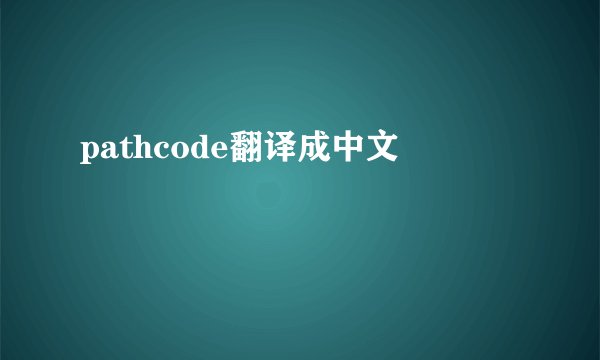 pathcode翻译成中文