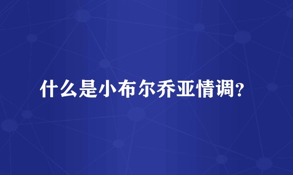 什么是小布尔乔亚情调？