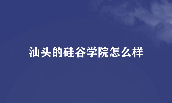 汕头的硅谷学院怎么样