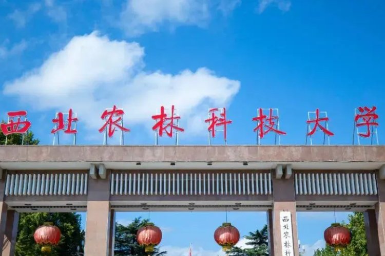 西北农林科技大学2022分数线