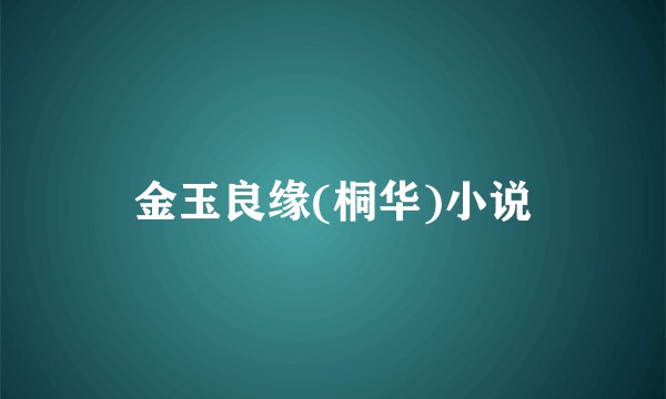 金玉良缘(桐华)小说