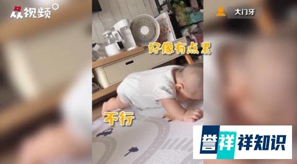 宝宝做平板支撑5秒倒下，白胖小胳膊不时晃动，网友：像极了我减肥的意志