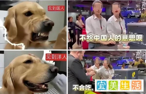 宝马Mini俩女生身份被扒，皆为知名大学毕业，高学历低素质才可悲