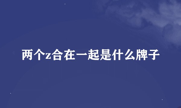 两个z合在一起是什么牌子