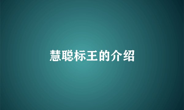 慧聪标王的介绍