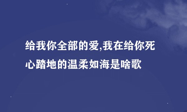 给我你全部的爱,我在给你死心踏地的温柔如海是啥歌