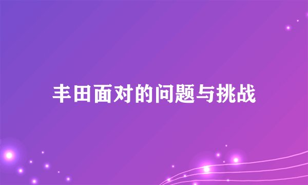丰田面对的问题与挑战