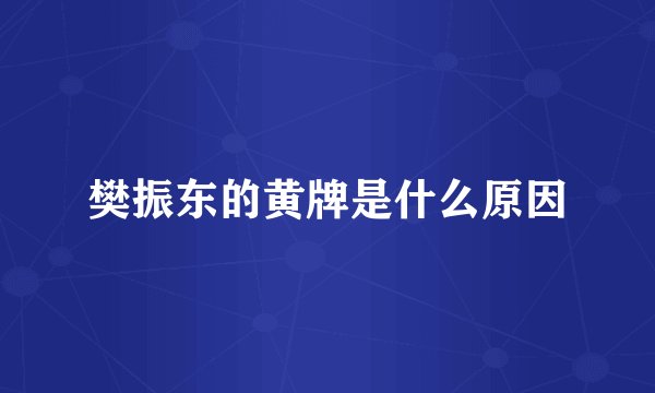 樊振东的黄牌是什么原因