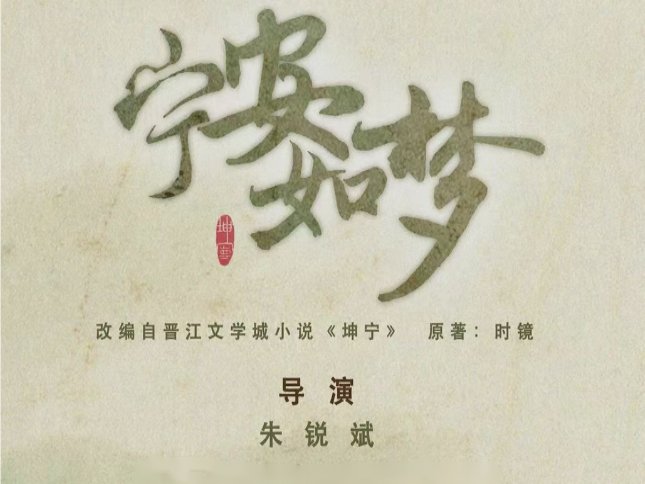 宁安如梦小说在哪里看最全