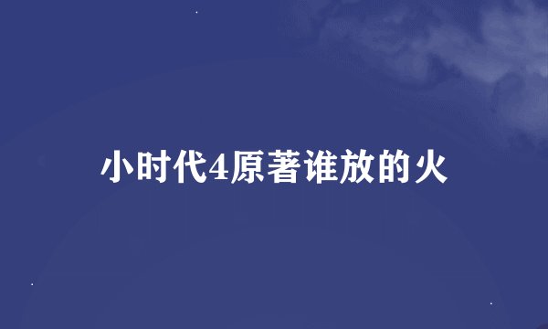 小时代4原著谁放的火