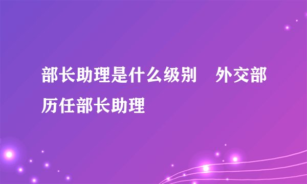 部长助理是什么级别 外交部历任部长助理
