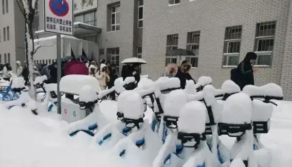 百年未遇！袭击东北的这场特大暴风雪，到底极端到了什么程度