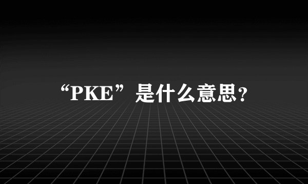 “PKE”是什么意思？