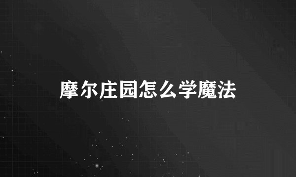 摩尔庄园怎么学魔法