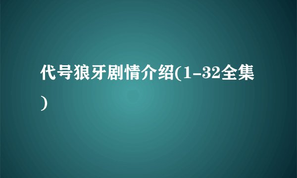 代号狼牙剧情介绍(1-32全集)