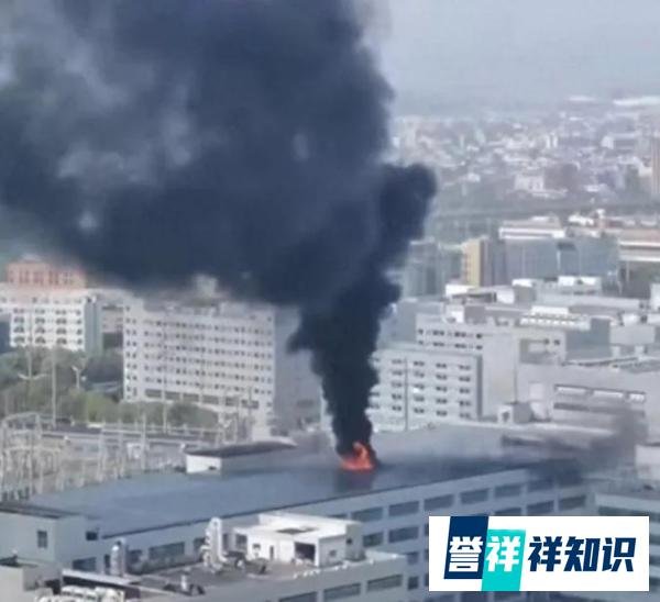 突发：浙江温州网红电子厂起火，火势猛烈