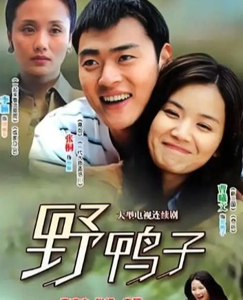《野鸭子》剧情简介