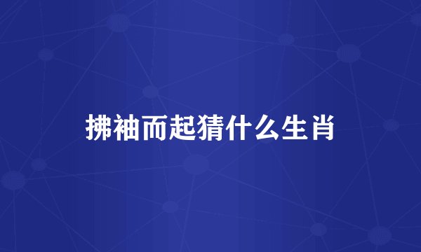 拂袖而起猜什么生肖