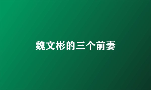 魏文彬的三个前妻