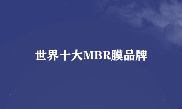 世界十大MBR膜品牌