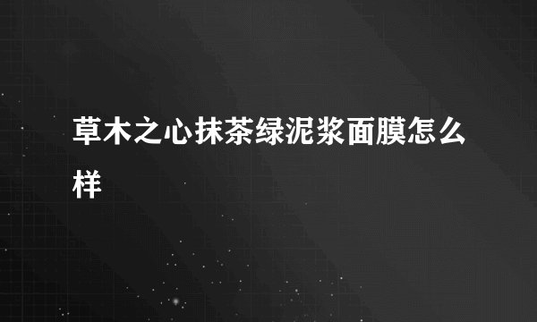 草木之心抹茶绿泥浆面膜怎么样