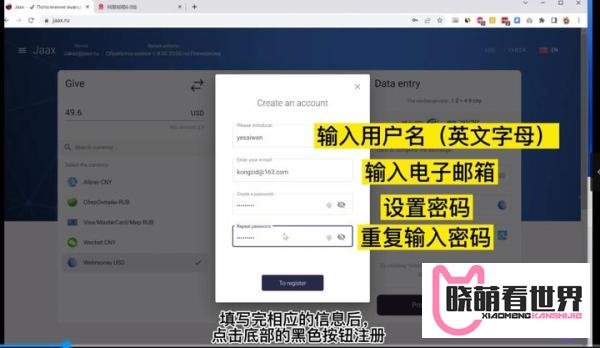 Webmoney新渠道:如何用JAAX兑换wmz?