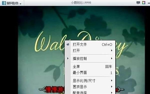 射手网的字幕怎么用