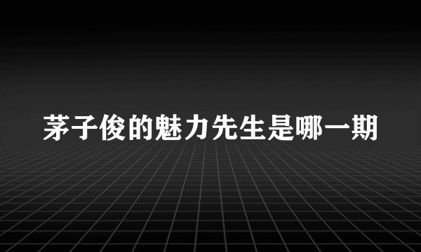 茅子俊的魅力先生是哪一期