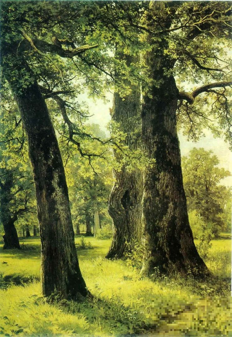 金希珍的十大经典作品