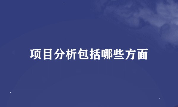 项目分析包括哪些方面