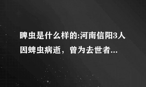 睥虫是什么样的:河南信阳3人因蜱虫病逝，曾为去世者穿寿衣，夺命蜱虫如何自救？