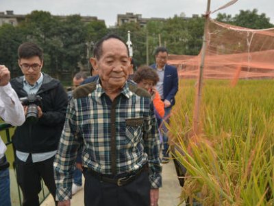 长沙的鲜花外卖单引发热议，鲜花单全为吊唁袁隆平，你怎么看？
