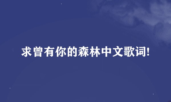 求曾有你的森林中文歌词!