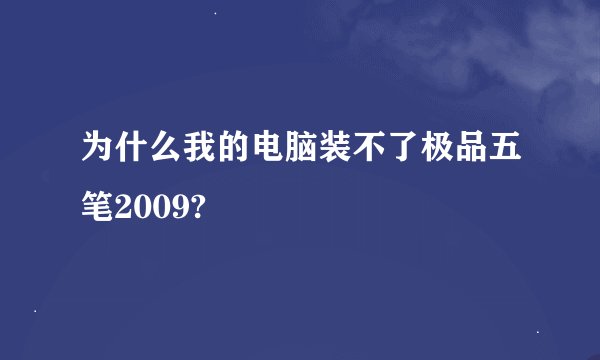 为什么我的电脑装不了极品五笔2009?