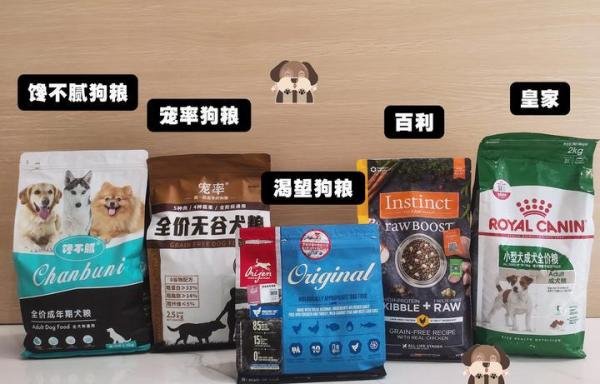 建议女生不要养大狗，这些原因，一般人很难接受