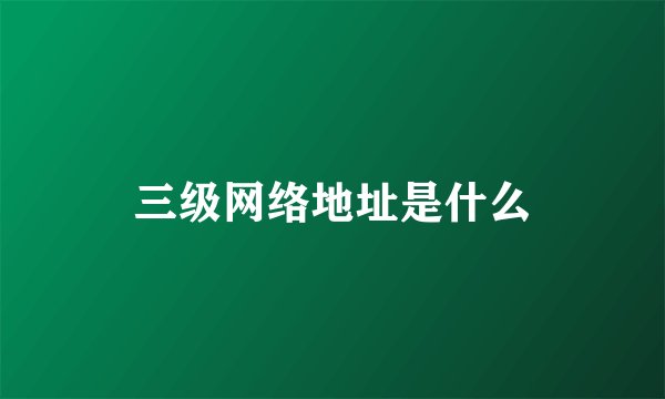 三级网络地址是什么