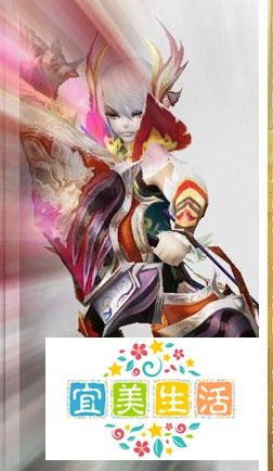 武林外传飞羽怎么加点