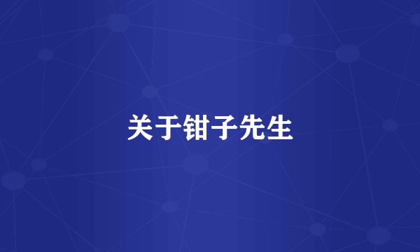 关于钳子先生