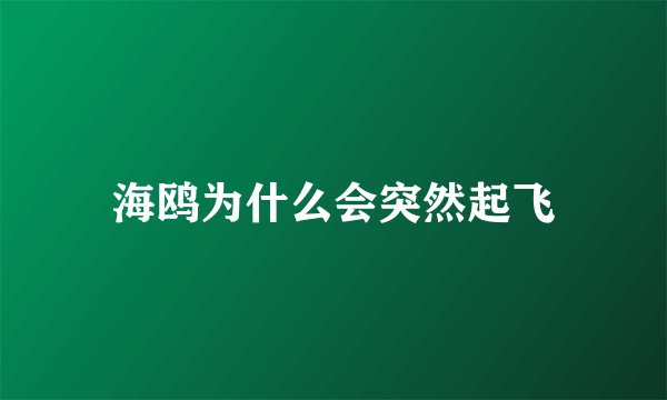 海鸥为什么会突然起飞