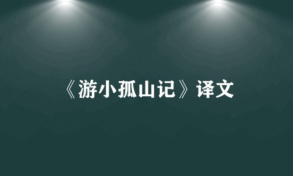 《游小孤山记》译文