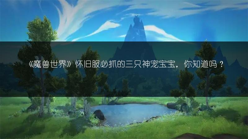 《魔兽世界》怀旧服必抓的三只神宠宝宝，你知道吗？