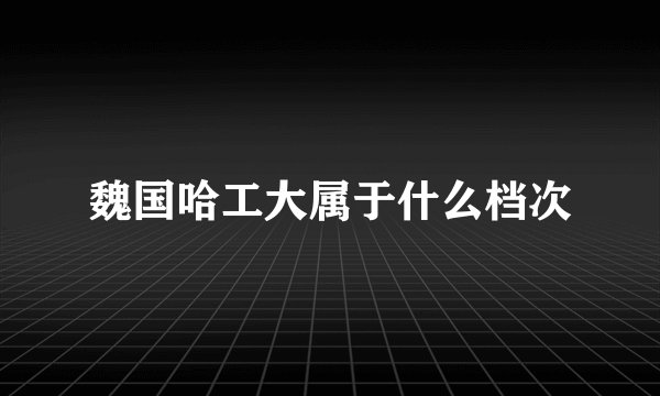 魏国哈工大属于什么档次