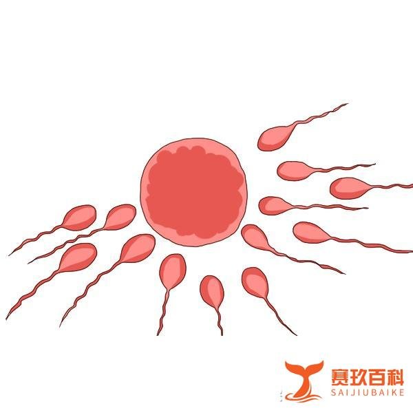 “我就蹭蹭,没事的~”